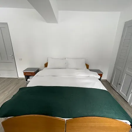 Villa Oaki Forest Predeal