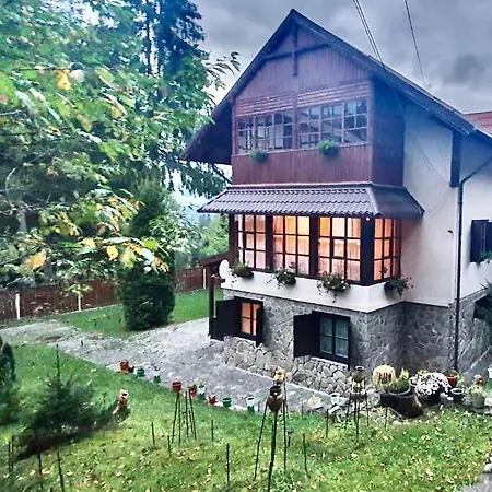 Oaki Forest Predeal