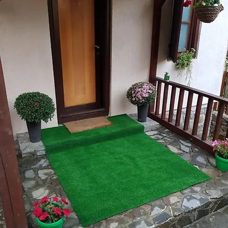 Villa Oaki Forest *